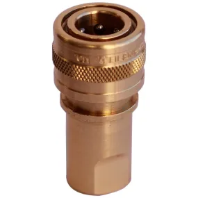 1/8" Brass Female Quick Disconnect