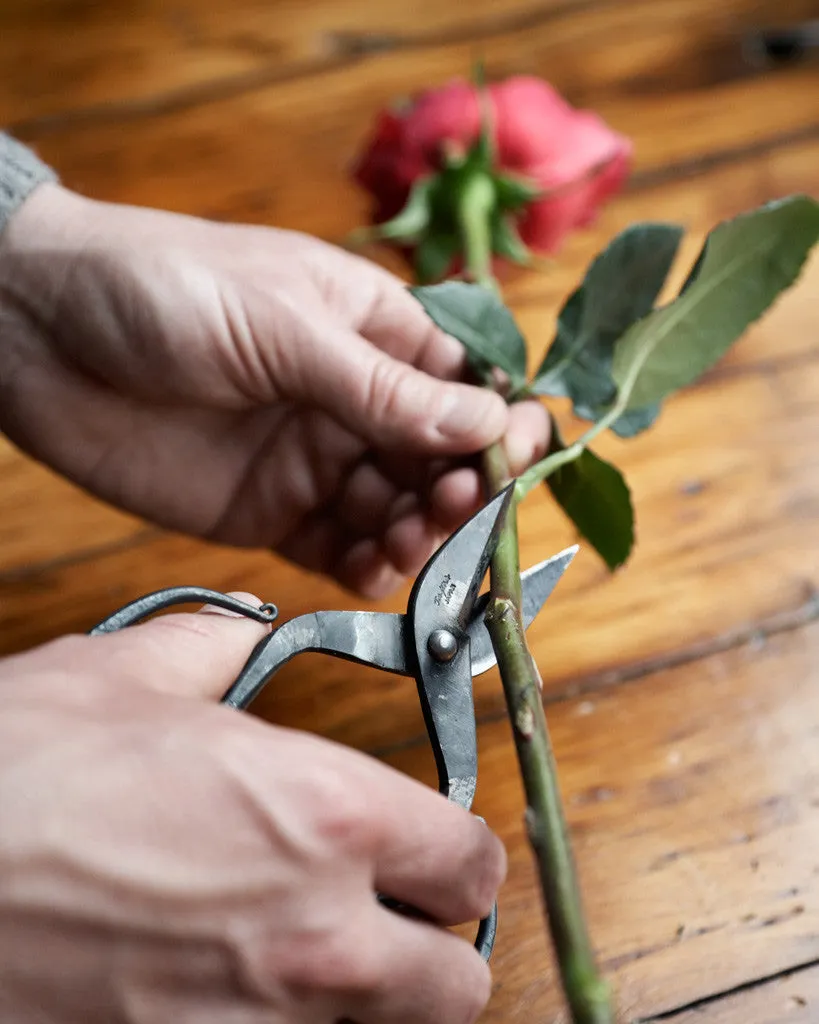 Branch and Root Shears