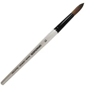 Daler Rowney Graduate Brush Short Handle Pony/Synthetic Round Wash 18x10mm