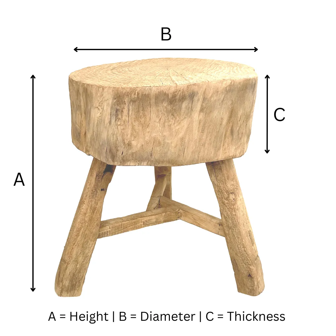 Elm Tree Trunk Side Table