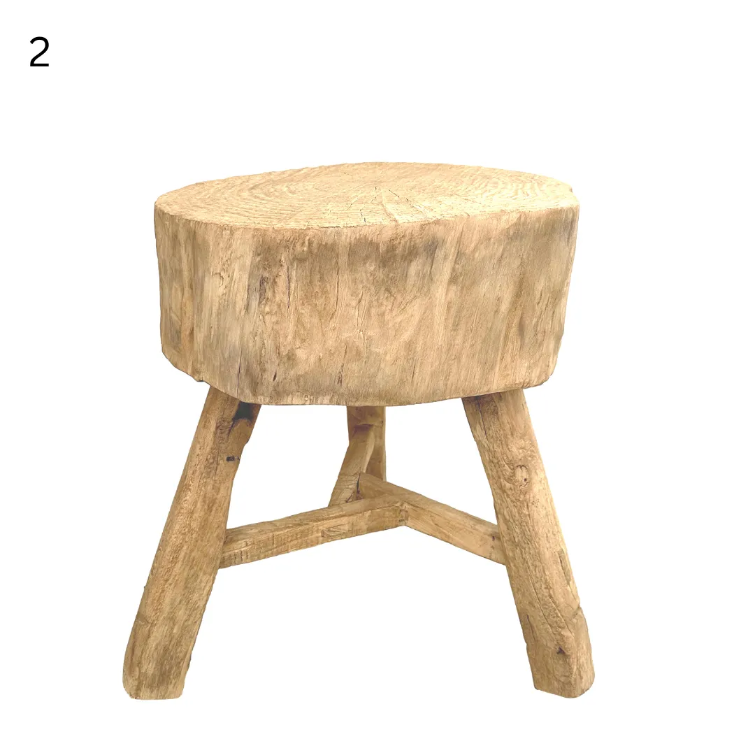 Elm Tree Trunk Side Table