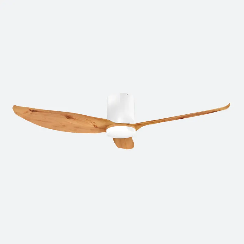 FEER Scandinavian Decor Fans (T5F/NLO)