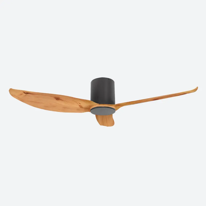 FEER Scandinavian Decor Fans (T5F/NLO)