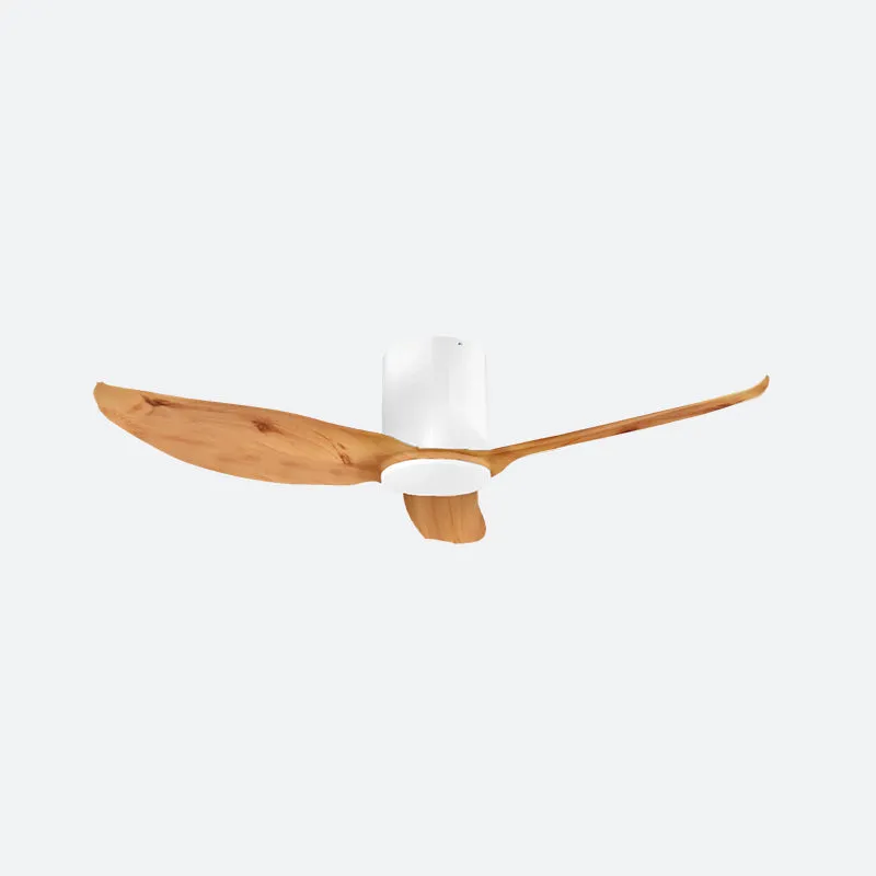 FEER Scandinavian Decor Fans (T5F/NLO)