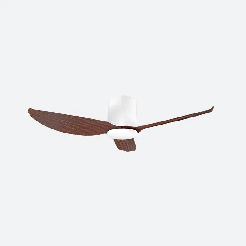 FEER Scandinavian Decor Fans (T5F/NLO)