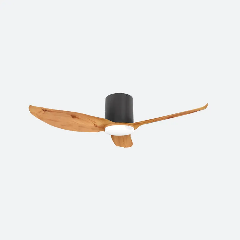 FEER Scandinavian Decor Fans (T5F/NLO)