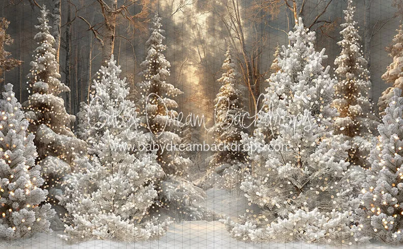 Frosted Fantasy Forest Lights (CC)