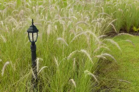 Integrated LED Curved Glass Post Lantern, 800 Lumens, 3K, Wet Location, Black Finish with Clear Glass