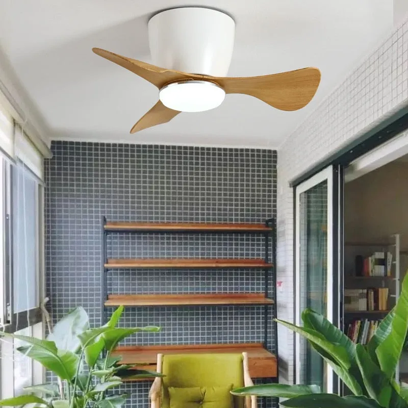 Modern Lux 22 Comfort Ceiling Fan with Light