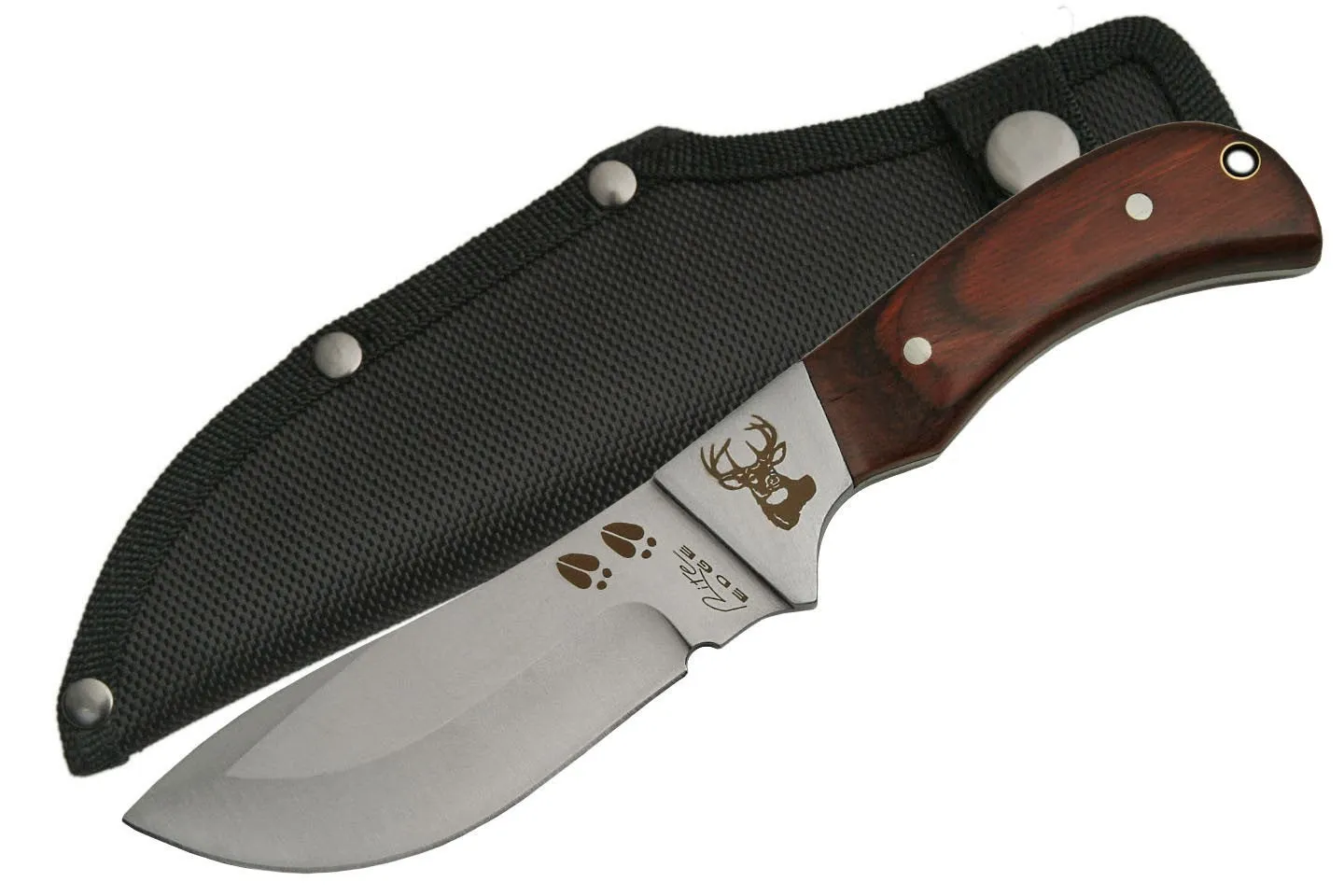 Outdoorsman Skinning Hunting Knife with Sheath - Elk